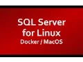 Installing SQL Server for Linux on Docker Container on Mac