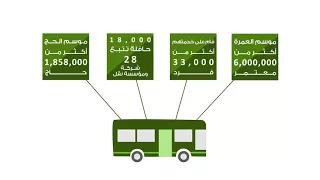 مجهودات وزارة الحج والعمرة في نقل ضيوف الرحمن 