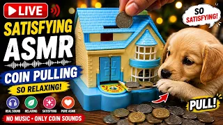 😱 Most Satisfying Dog Coin Pulling ASMR LIVE 🐶🪙 | Relaxing Sounds | Watch Till End! part 5