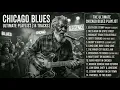 Buddy Guy Guitar Blues 🔥 Chicago Blues Classics for Late Night Listening