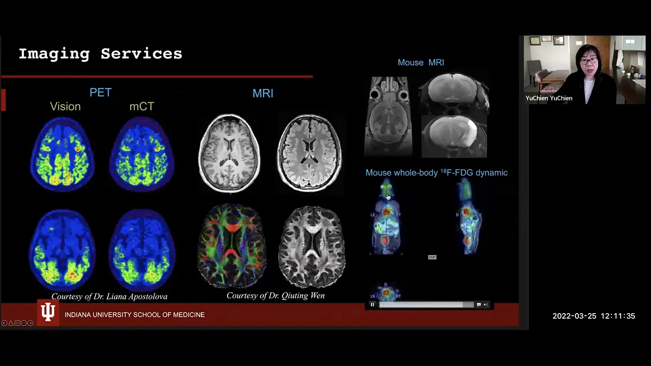 In-Vivo MRI and PET Imaging