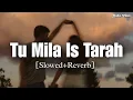Tu Mila Jis Tarah Saba Mile [Slowed + Reverb] - Shafaqat Ali || Audio Vibes