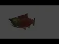 FISH turn on subtitles