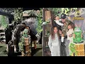 Chris Brown Ammika Harris Throw A Dino-Tastic B-Day Party For Son Aeko
