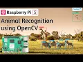 Animal Recognition with Raspberry Pi 5 OpenCV Real-Time AI Detection