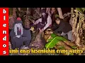 Lagu 19 Oktober 2025