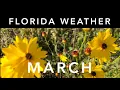 Florida Weather March