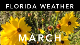 Florida Weather March