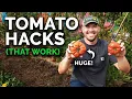 Download Lagu 9 Tomato Growing Tips (That Actually Work)