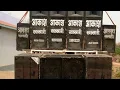 Download Lagu Raam nara  DJ sagar kanker rework Road show in khallari