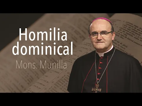 Download MP3 Homilía 19.05.2024 / Pentecostés