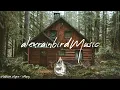 Forest Therapy 🌲 - A Healing Indie/Folk/Pop Playlist