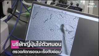 การตรวจหาเชื้อมะเร็งตับอ่อนด้วยหนอนตัวเล็กใช้กลไกอย่างไร