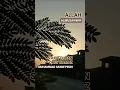 Download Lagu @ALMUSAWWIR. OBEY LAWS OF NATURE WELL EXPLAINED IN QURAN ... GO EARLY TO BED FOR HEALTHY LIFE#yt