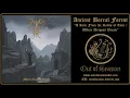ANCIENT BOREAL FOREST "Where Dragons Dream" (Full Album, dungeon synth, summoning, black metal)