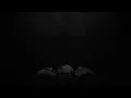Avenged Sevenfold - Mad Hatter [Lyrics Video]