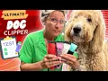 Ultimate Dog Clipper Test Grooming a Goldendoodle s Thick Coat - Best Clipper Put to the Test