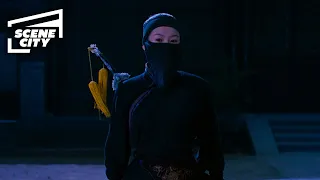 crouching tiger hidden dragon the sword thief hd scene 