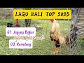 Download Lagu Yan Srikandi - JAGUNG BAKAR - KARADANG // LAGU BALI TOP 2025