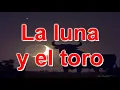 LA LUNA Y EL TORO   iracundo gatto   VIDEO PHOTO