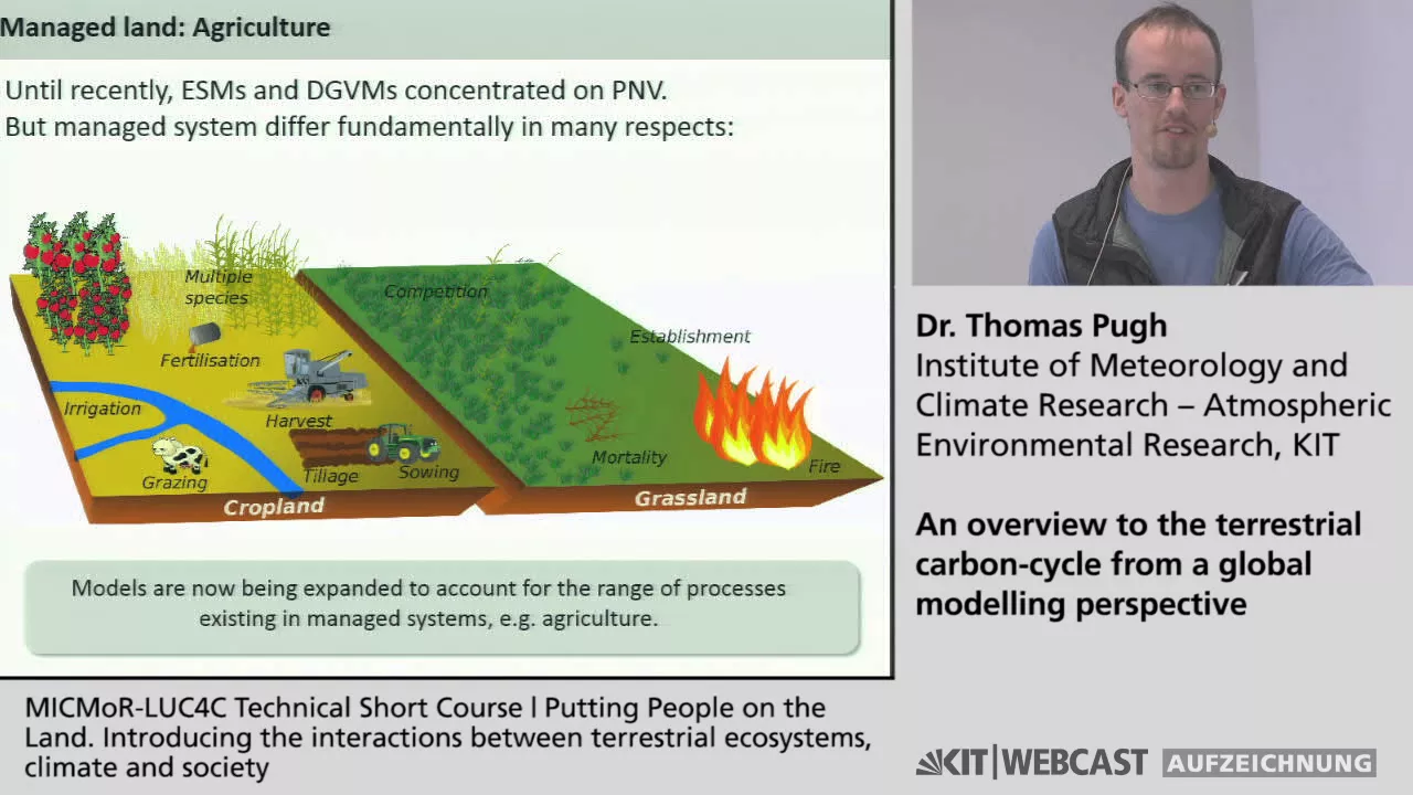 An overview to the terrestrial carbon-cycle from a global modelling perspective