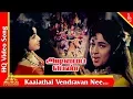 Download Lagu காலத்தை வென்றவன் நீ பாடல்|அடிமைப்பெண் படப்பாடல்கள்|எம்.ஜி.ஆர்| ஜெயலலிதா |பிரமிட் இசை