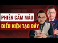 Phiên Cầm Máu: Điều Kiện Để Thị Trường Tạo Đáy. Xem Ngay!