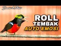 Download Lagu KONIN GACOR FULL ISIAN ROLL TEMBAK COCOK UNTUK MENAIKKAN EMOSI KOLIBRI NINJA AGAR CEPAT NGOBRA
