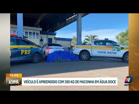Combate ao tráfico: PRF e Polícia Militar apreendem 300 kg de maconha em operação conjunta