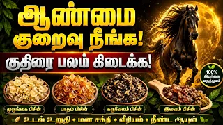 ஆண்மை குறைவு நீங்க பிசின் வகைகள் , குதிரை பலம் உறுதி
