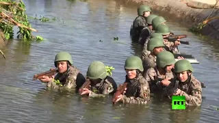 يحكي أن ـالجيش المصري ـ القوات الصاعقة المصرية 