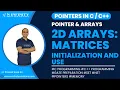 Pointers in Session 20 2D Arrays Matrices Multidimensional Array Pointer Arrays