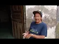 La gilbertona en sus inicios