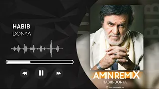 حبیب دنیا امین ریمیکس Habib Donya AminRemix  حبیب دنیا امین ریمیکس Habib Donya AminRemix