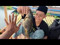 Download Lagu CAMP FISHING Ep.411 Alhamdulillah Dede Mustofa Penyelamat di Vidio Kali ini