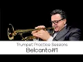 Download Lagu Trumpet Practice Session \
