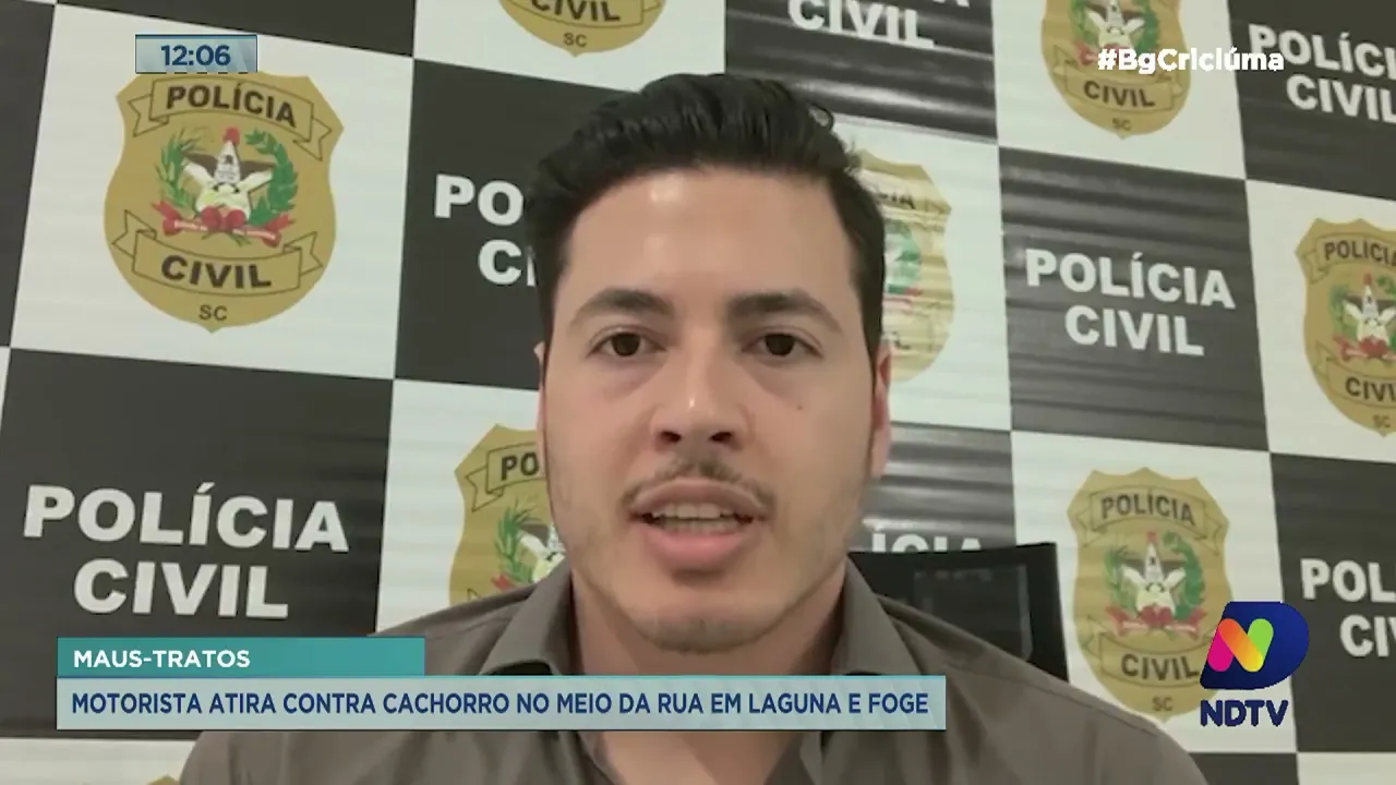 Cão é baleado em Laguna