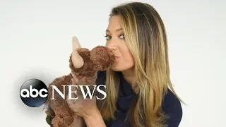 Ginger Zee does an unboxing but has to guess what city in Michigan it s from