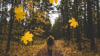 lia nathalia selamat tinggal kekasih karaoke tanpa vokal 