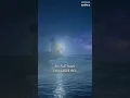 Man-made Shooting Stars - Something About Science