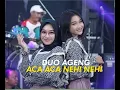 Download Lagu ACA ACA NEHI NEHI - DUO AGENG (Indri x Sefti) ft Ageng Music (Official Live Music)