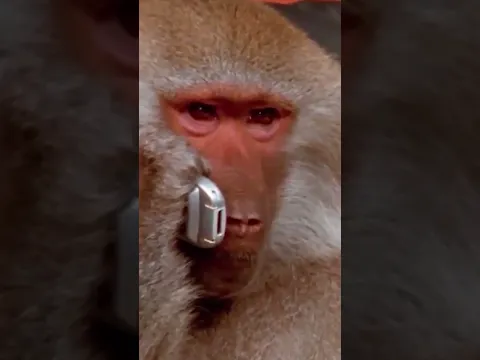 من سيربح المليون نسخة لعبة روبلوكس! 😂💰