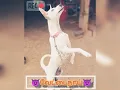 Download Lagu Vettai dog#song#mass#whatsapp status🐶🐶🐶🔥🔥