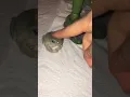 Download Lagu Man Got Nails Biting by Tiny Green Tree Frog 🐸 #shorts