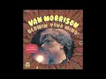 Punk Rock Covers - Van Morrison / Brown Eyed Girl [Lagwagon]