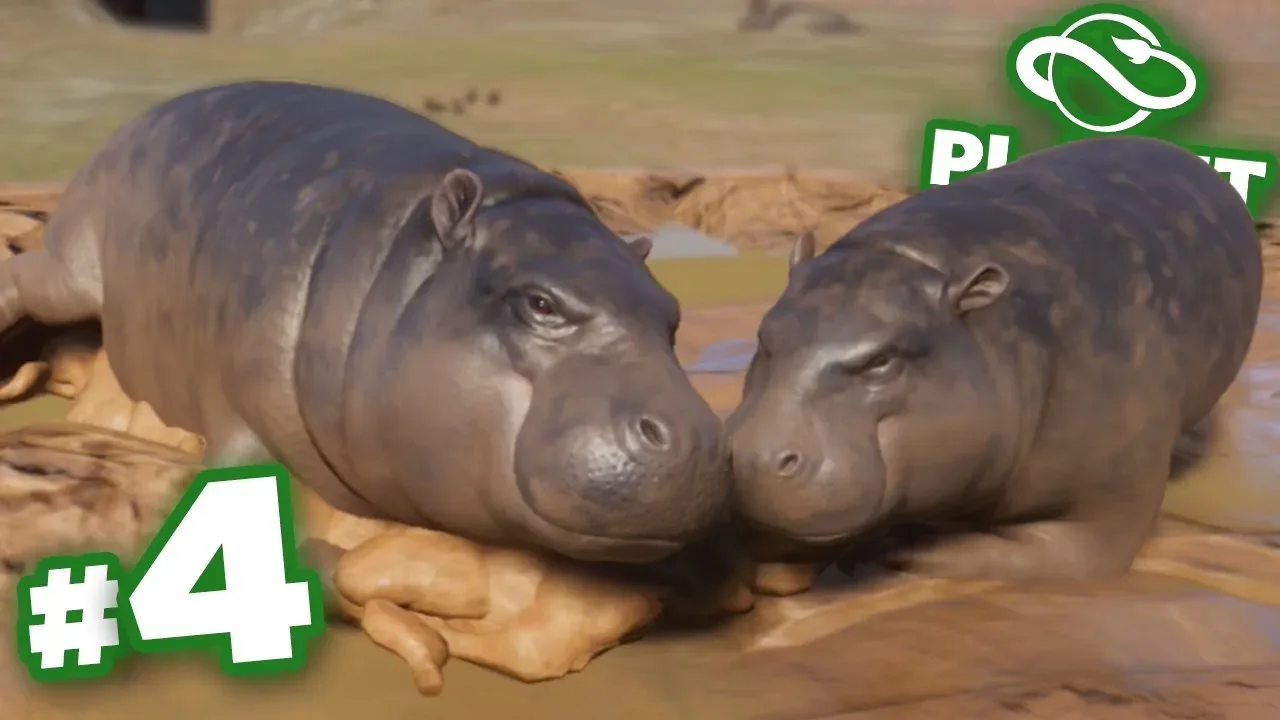 A Hippo Mud Party!!! - Planet Zoo | Ep4 HD