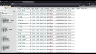 Configure SHONiR CMS with CodeIgniter 4 on Localhost - Complete Installation Guide