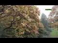 Download Lagu Vliegen met drone