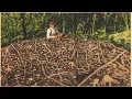 The Judaculla Giant and The Devil s Courthouse Quest
