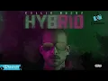 Collie Buddz - 🔥Love Is Life🔥 (Hybrid)🎧🎶